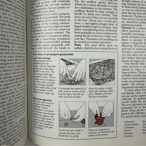 Reader’s Digest: Success with House Plants (1979) - Picture 6 of 7